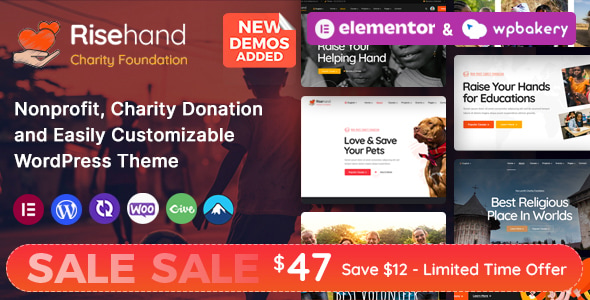 RiseHand – Charity & Donation WordPress Theme
