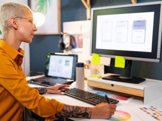 How to Choose the Perfect WordPress Theme
